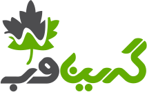 هلدینگ دانش بنیان گرین وب Logo
